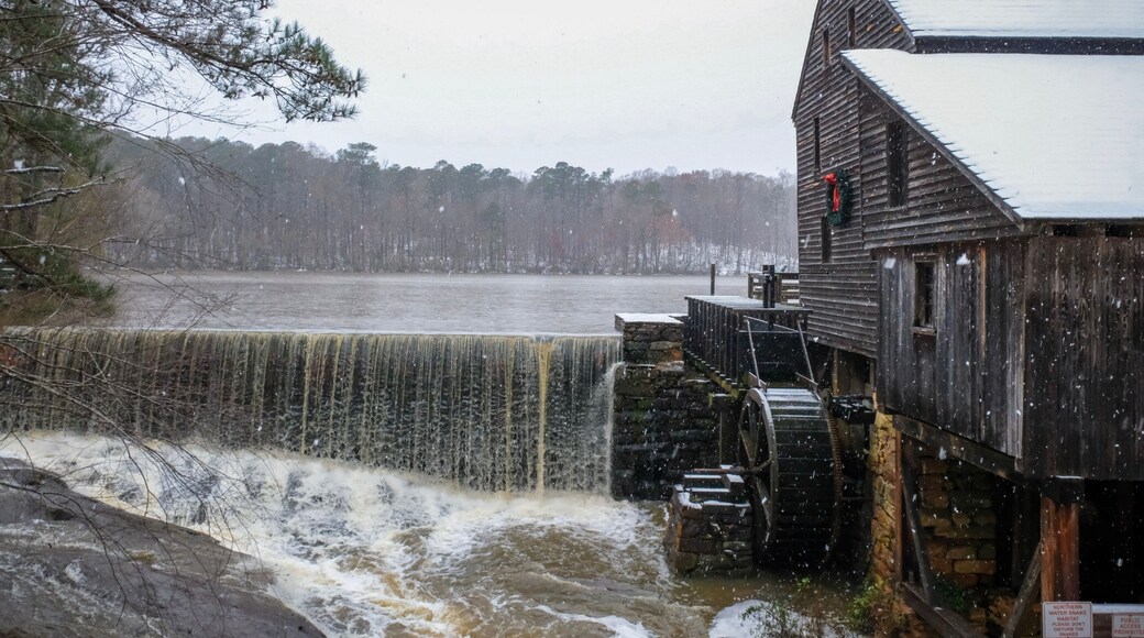 Historic Yates Mill County Park