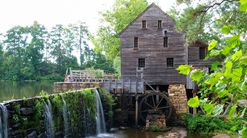Historic Yates Mill County Park