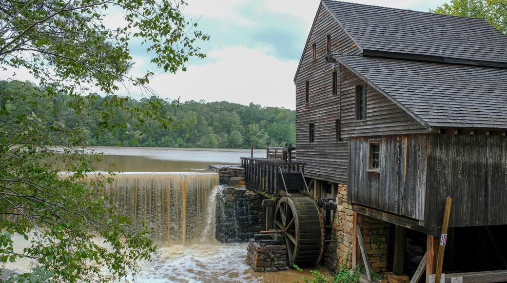 Historic Yates Mill County Park