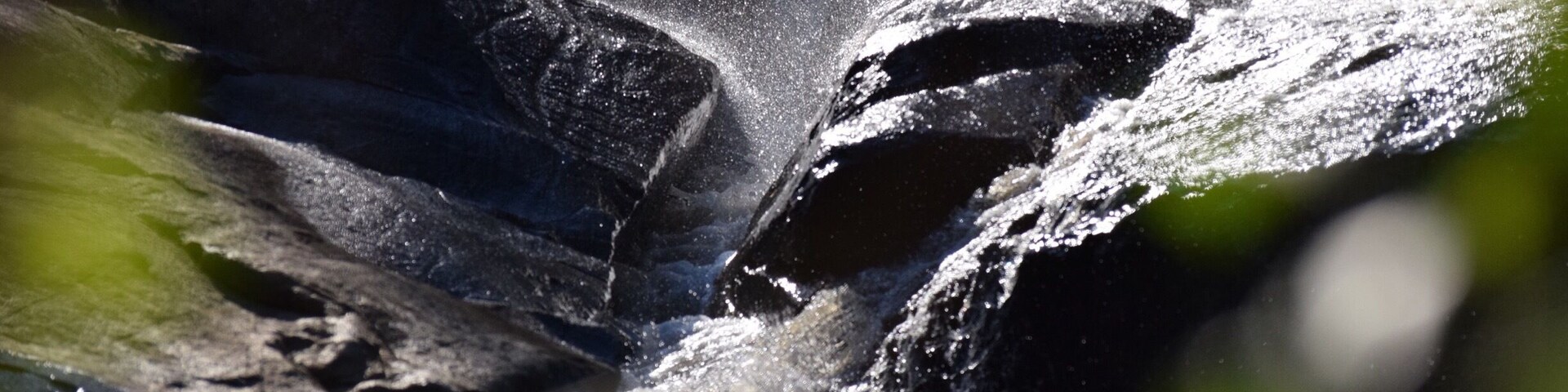 I finally got a DSLR camera and got this shot after a rainy day at Yates Mill. This is actually a small groove between some rocks at the mill, but the picture makes it look a little more spectacular. I'll take tips from any of you pros out there!