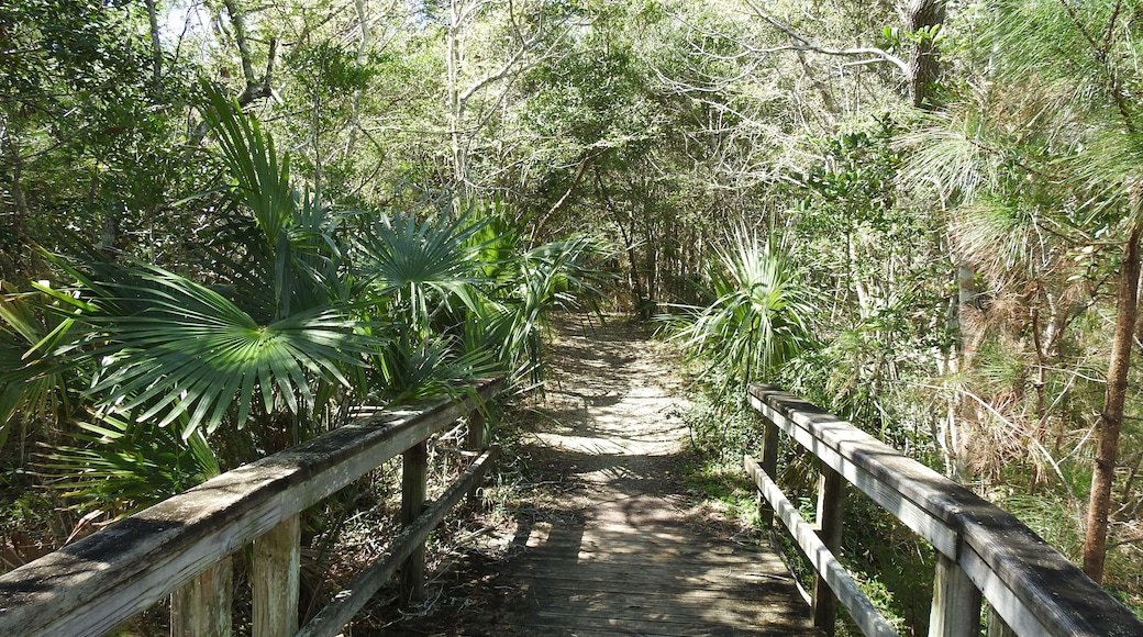 Buxton Woods Nature Trail