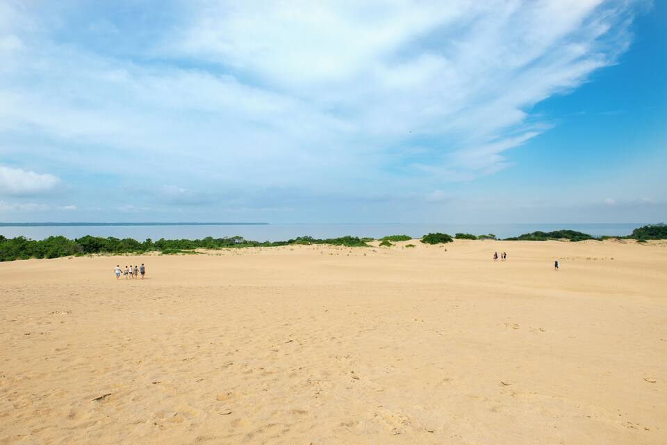 A sandy beach with sparse vegetation and a clear sky.