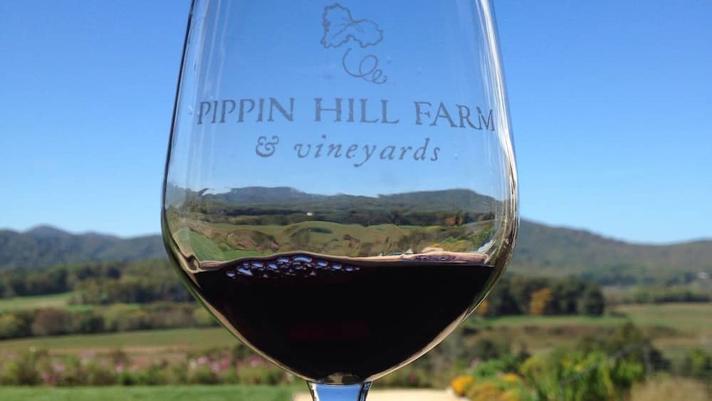 A wine glass with "PIPPIN HILL FARM & vineyards" engraved on it, held against a scenic background of a vineyard and hills.