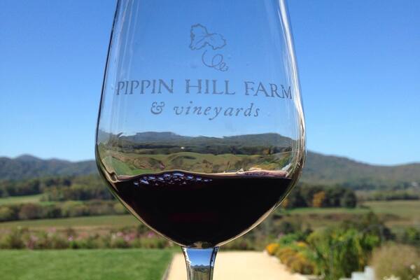 A wine glass with "PIPPIN HILL FARM & vineyards" engraved on it, held against a scenic background of a vineyard and hills.
