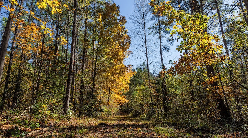 Richmond_PocahontasStatePark_553248621532661487_05