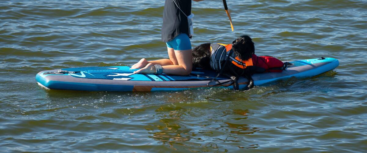 Woman rowing her blue paddle board with her black dog who's wearing a life preserver or flotation device on a warm sunny day on a lake. Small waves are created by gentle breezes blowing over the water