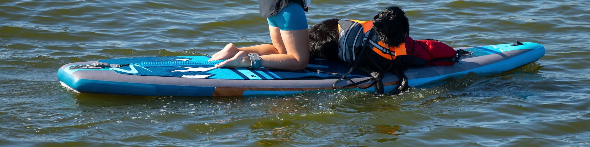 Woman rowing her blue paddle board with her black dog who's wearing a life preserver or flotation device on a warm sunny day on a lake. Small waves are created by gentle breezes blowing over the water
