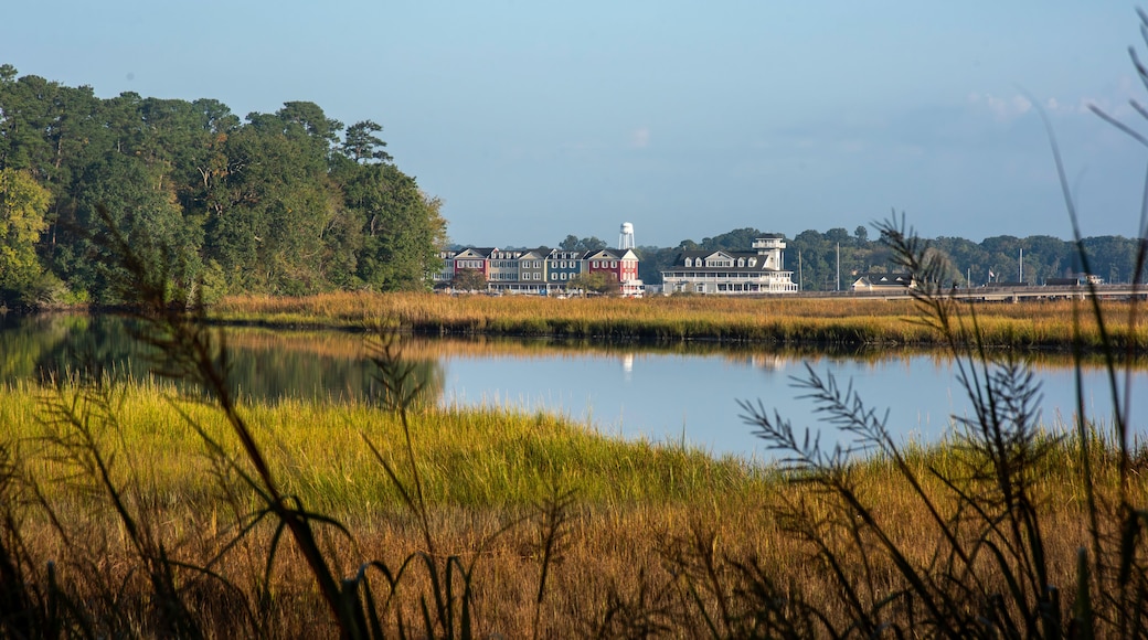 Công viên Windsor Castle