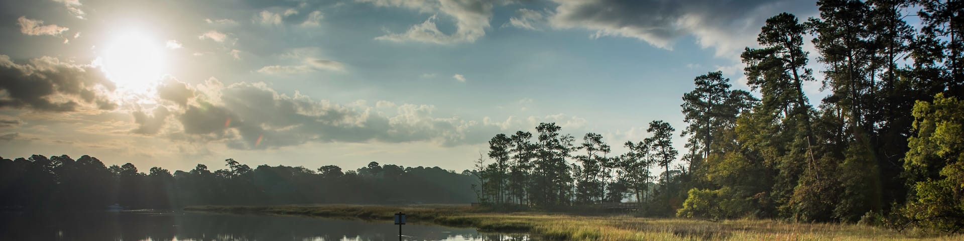 CYPRESS CREEK EARLY MORNING REFLECTION ON WATER