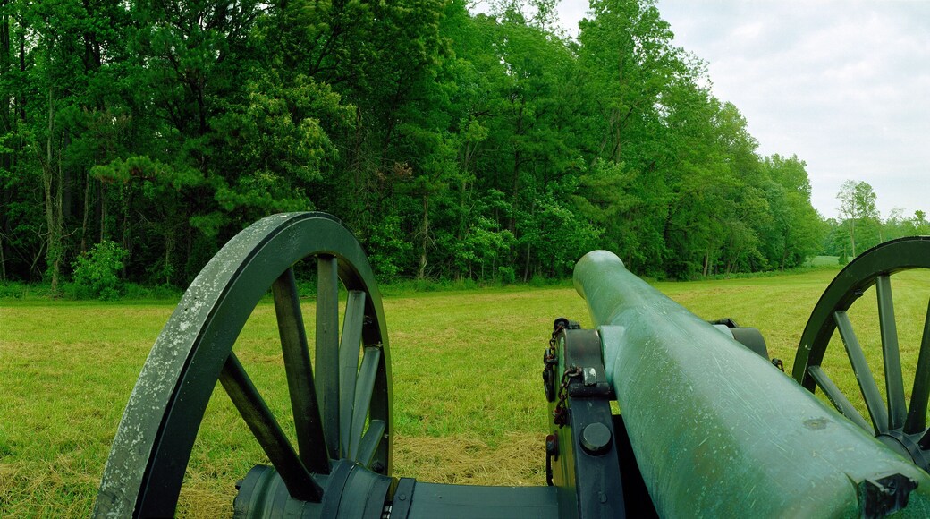 Campo de batalla Gaines' Mill