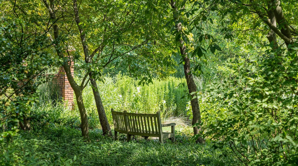 Hermitage Museum and Gardens