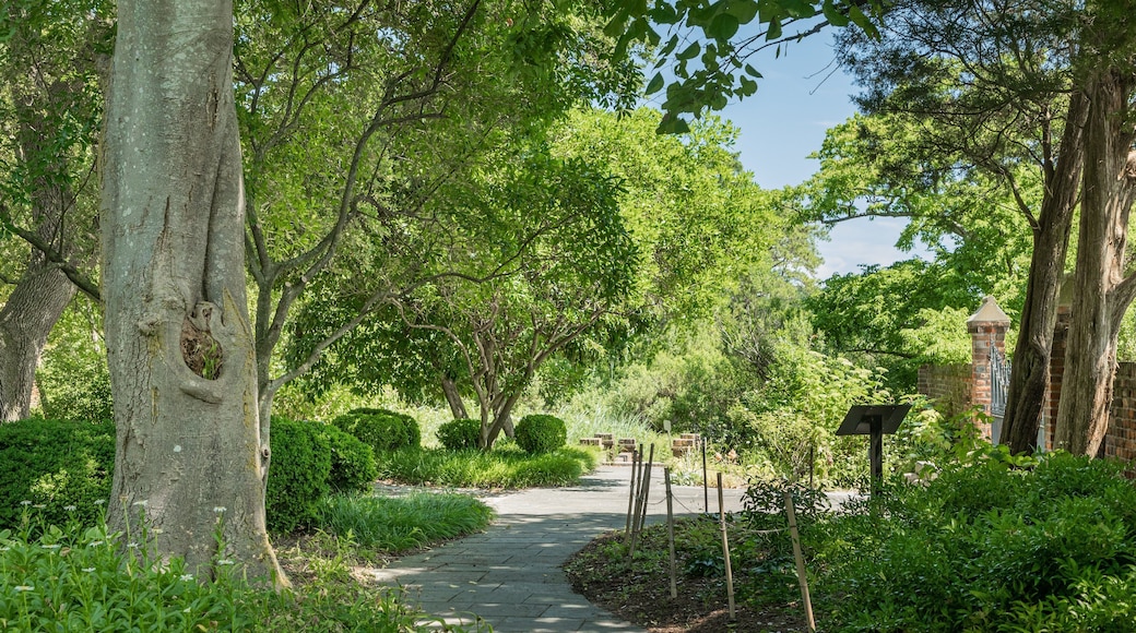 Hermitage Museum and Gardens