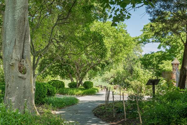 Hermitage Museum and Gardens