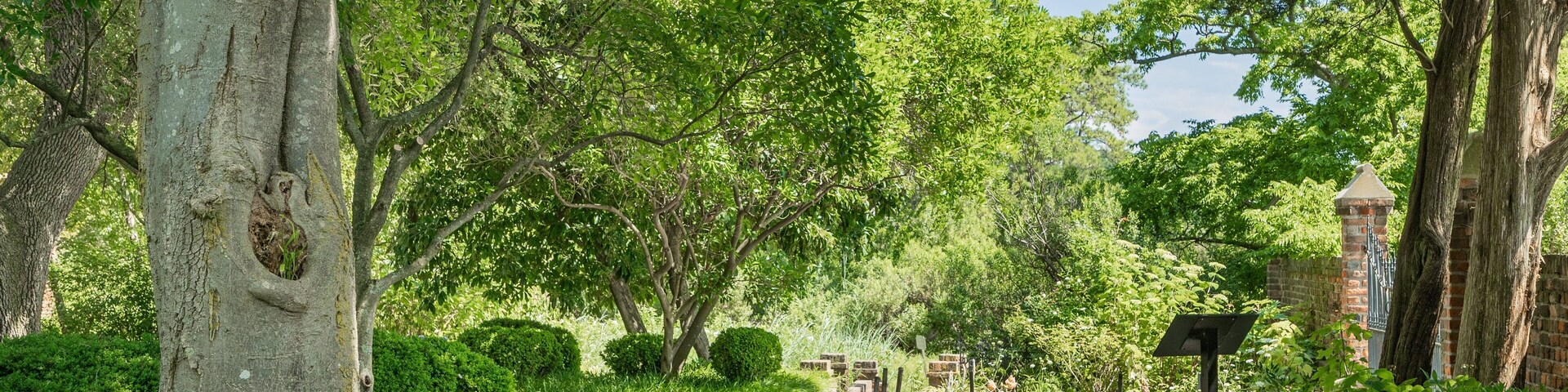 Hermitage Museum and Gardens