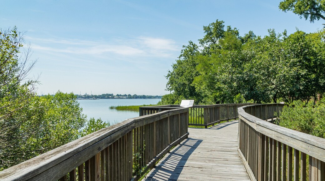 Hermitage Museum and Gardens which includes a bridge and a lake or waterhole