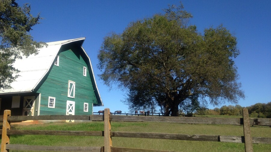 James Madison homestead, horses grazing in fields outside an old abandon farm