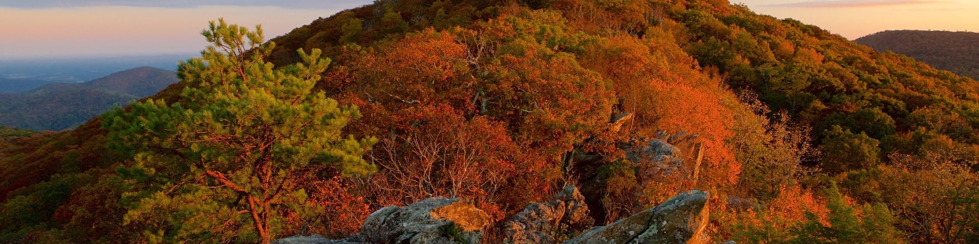 Shenandoah Nationalpark mit einem Berge, HerbstblÀtter und WÀlder