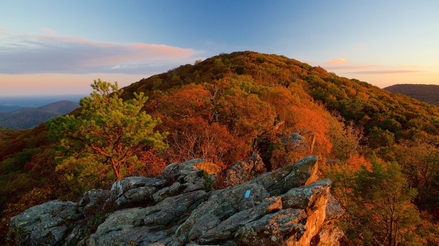 Shenandoah National Park featuring forest scenes, autumn colours and a sunset