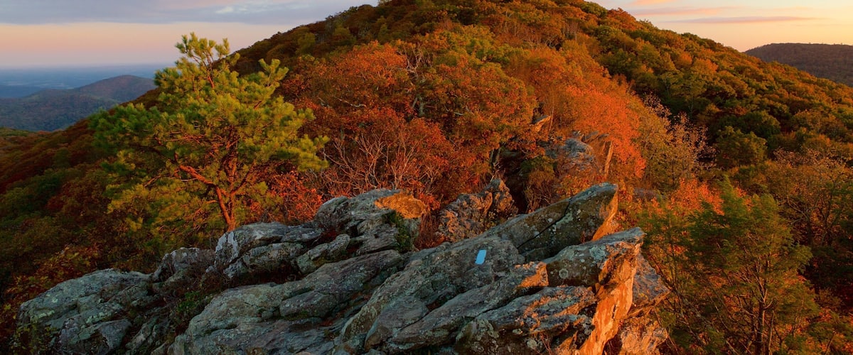 Shenandoah National Park featuring autumn leaves, a sunset and forests