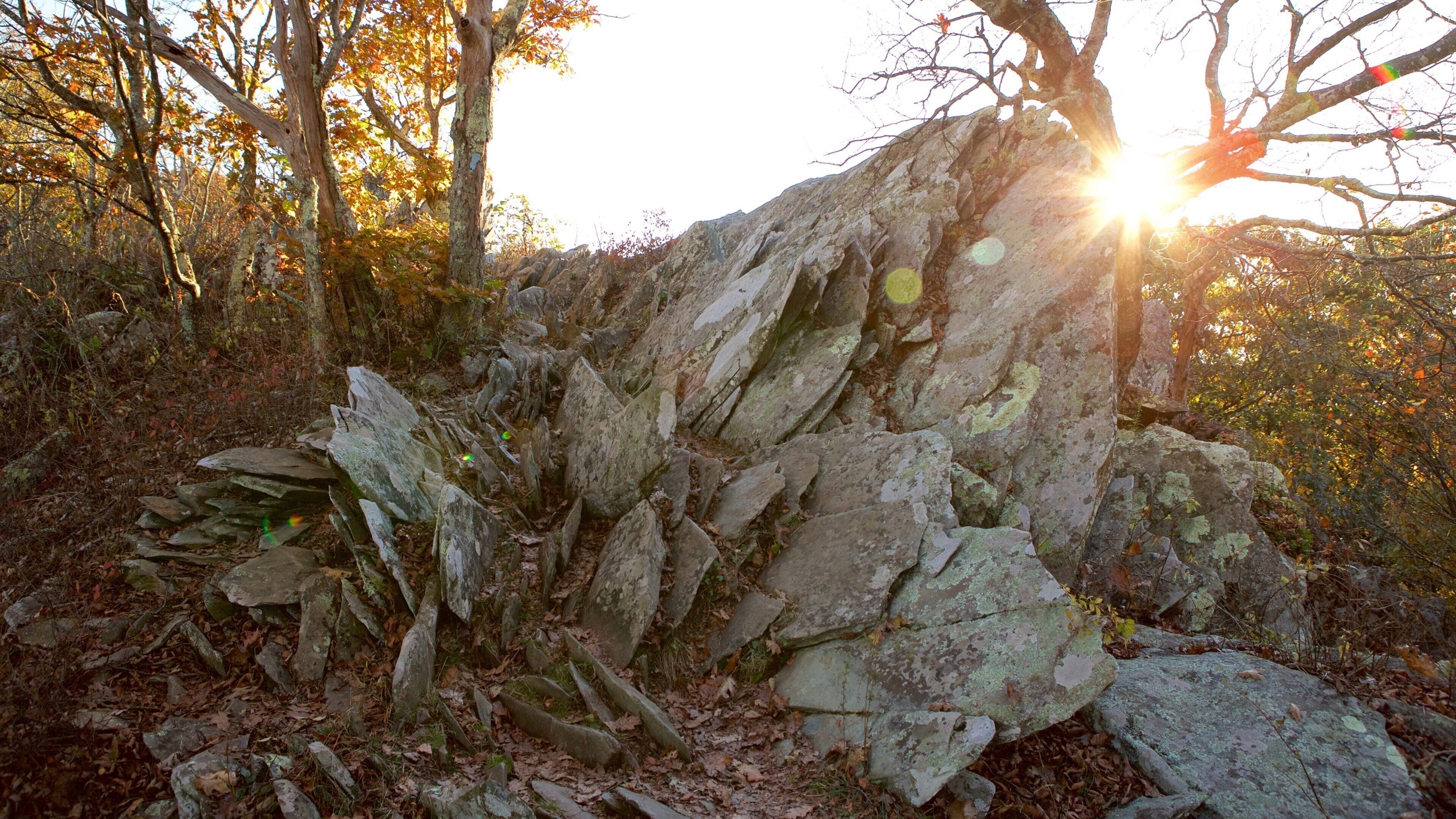 Parc national de Shenandoah