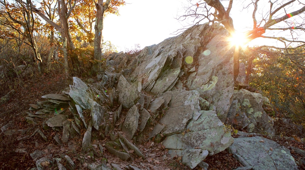 Parc national de Shenandoah