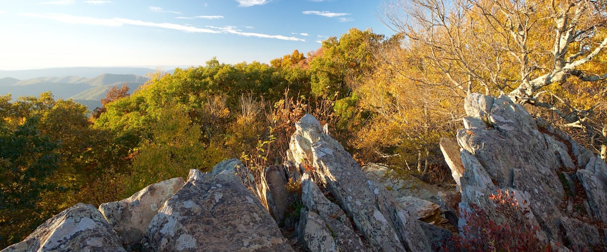 Paesaggio montuoso con autunno e affioramenti rocciosi.
