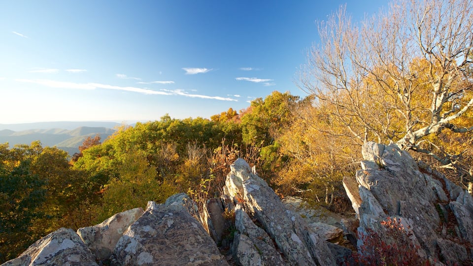 A mountainous landscape with autumn foliage and rocky outcrops.