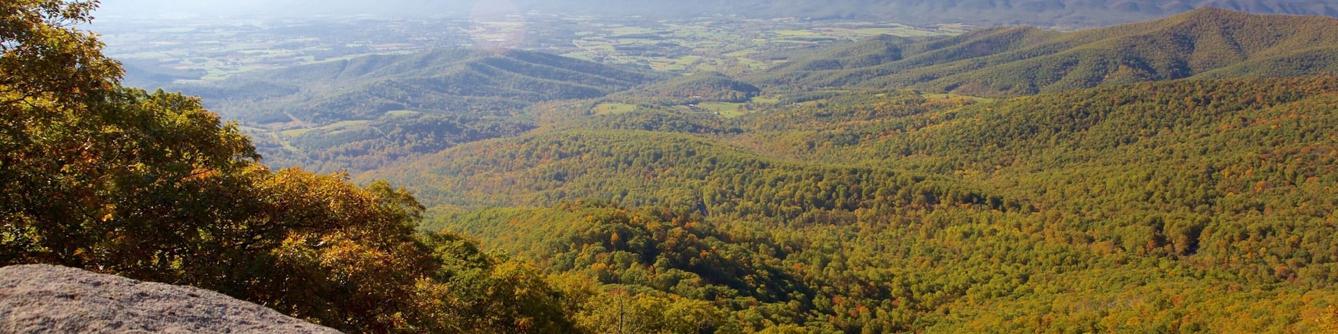 Shenandoah National Park which includes forests, tranquil scenes and mountains