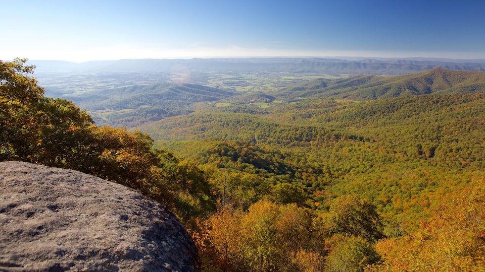 A mountainous landscape with dense forests and a clear sky.