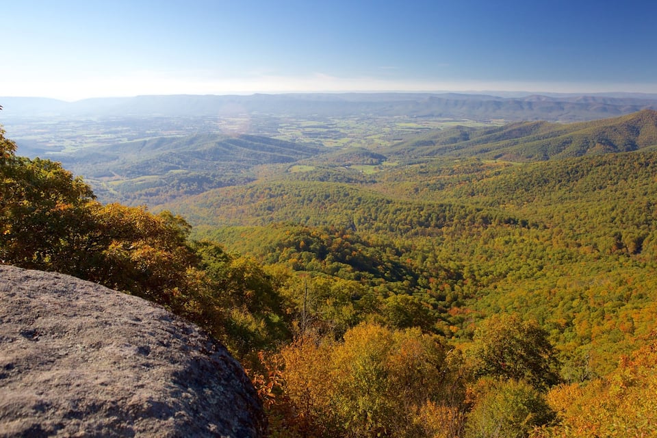 A mountainous landscape with dense forests and a clear sky.