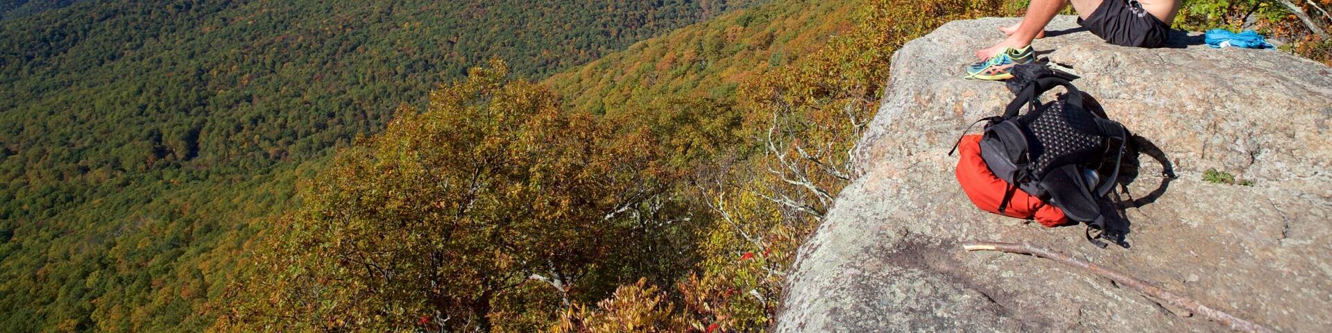 Shenandoah National Park showing tranquil scenes, forest scenes and mountains