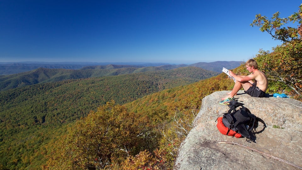 A person sitting on a rock with a backpack, overlooking a forested valley.