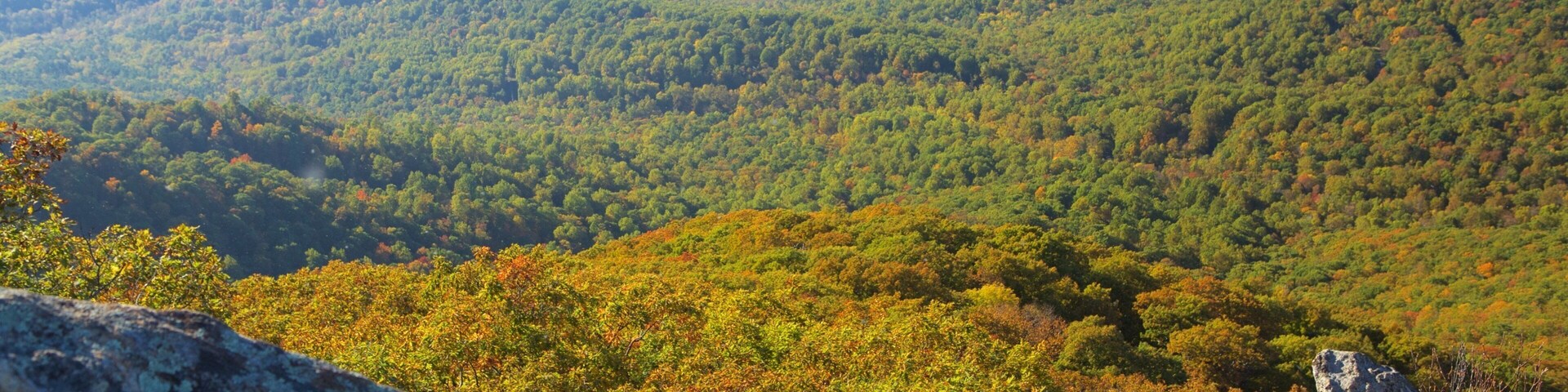 Mary\'s Rock Summit Trail showing tranquil scenes and landscape views as well as a small group of people