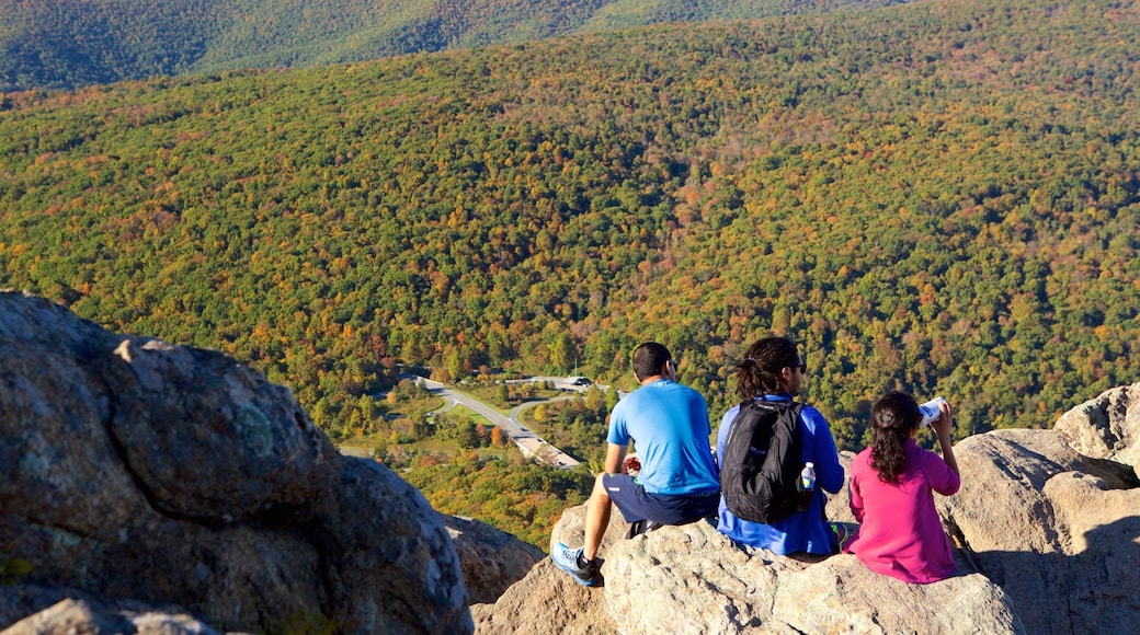 Shenandoah Nationalpark som omfatter skove, bjerge og vandring eller gåture