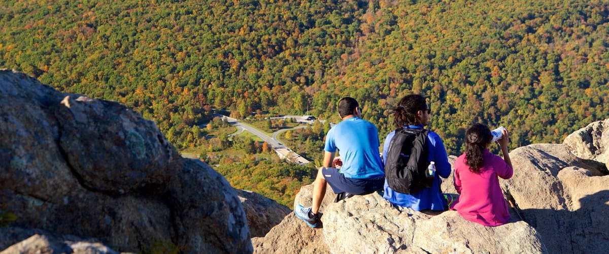 Shenandoah National Park showing hiking or walking, mountains and forests
