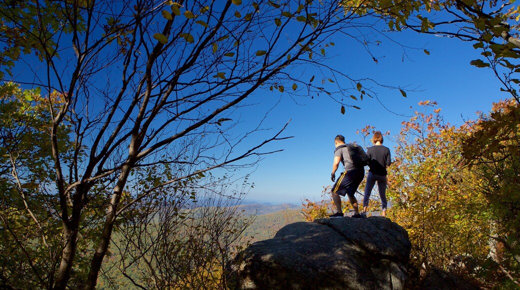 Shenandoah National Park as well as a couple