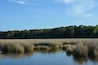 View of the salt marsh at Hughlett Point Natural Area on the coast of the Chesapeake Bay.