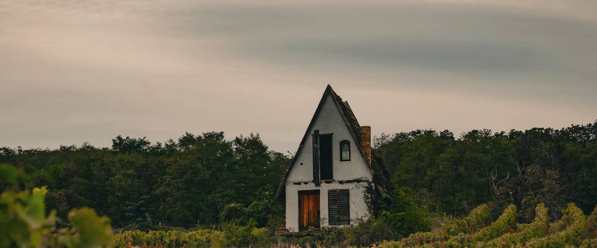old house in the vineyard