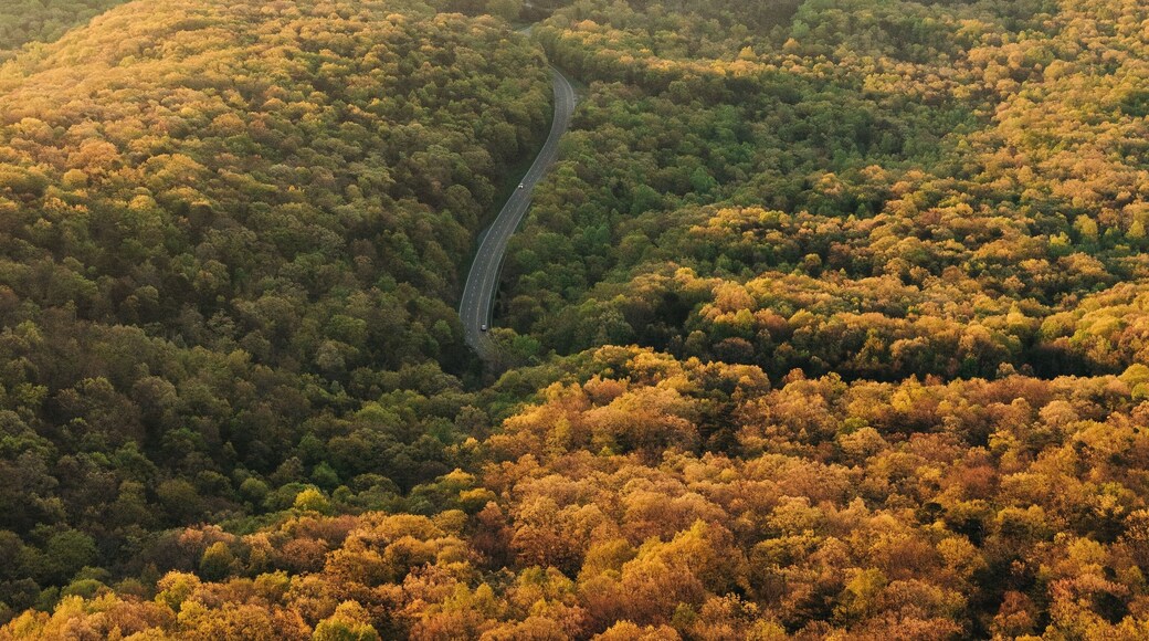 Massanutten Storybook Trail