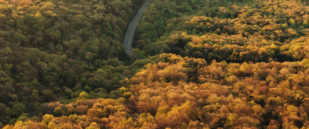 View of the Shenandoah Valley and Blue Ridge Mountains at sunrise, from the Massanutten Storybook Trail in Luray, Virginia