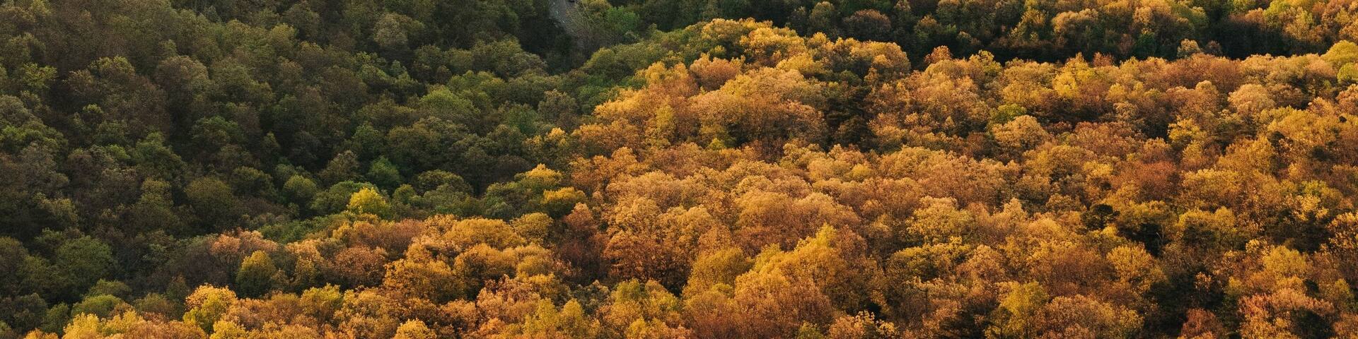 View of the Shenandoah Valley and Blue Ridge Mountains at sunrise, from the Massanutten Storybook Trail in Luray, Virginia
