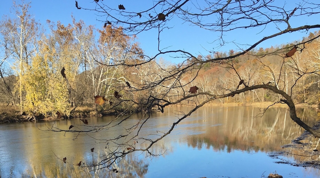 State park trail in camping section..