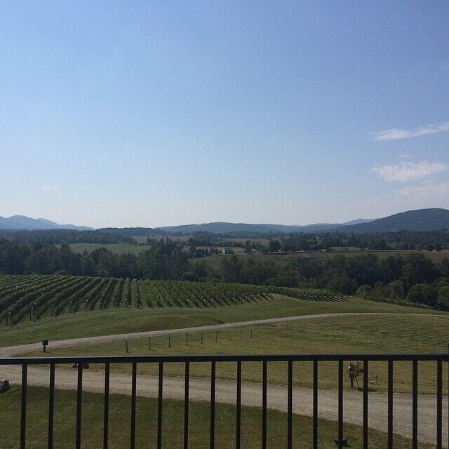 Another beautiful vineyard in Virginia - Delaplane Cellars. There are several top notch wineries in this area, including Linden, Glen Manor and Chester Gap. 