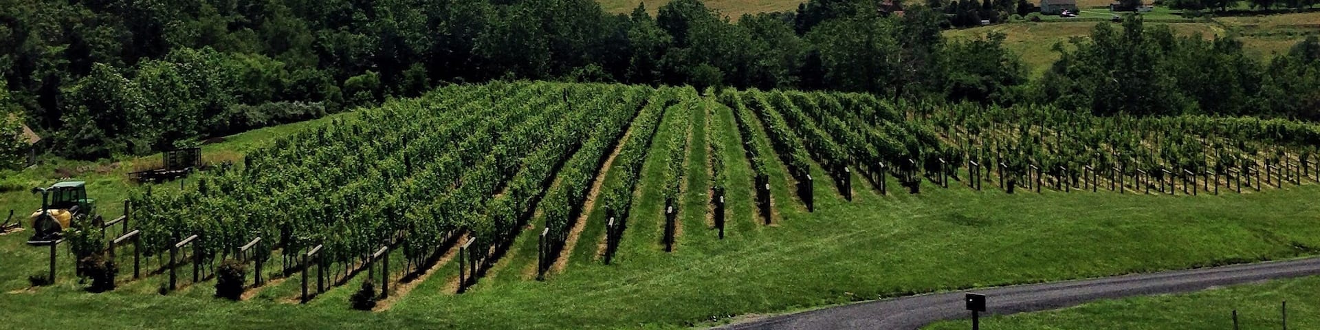 Such a beautiful view from the patio. And great wines too!! #delaplanecellars #winery #blueridgemountains #virginia #drinkvirginiawine