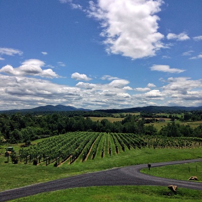 Such a beautiful view from the patio. And great wines too!! #delaplanecellars #winery #blueridgemountains #virginia #drinkvirginiawine