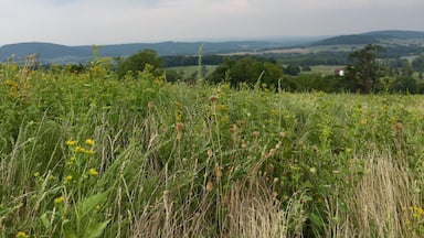 Hiking Sky Meadows State Park...