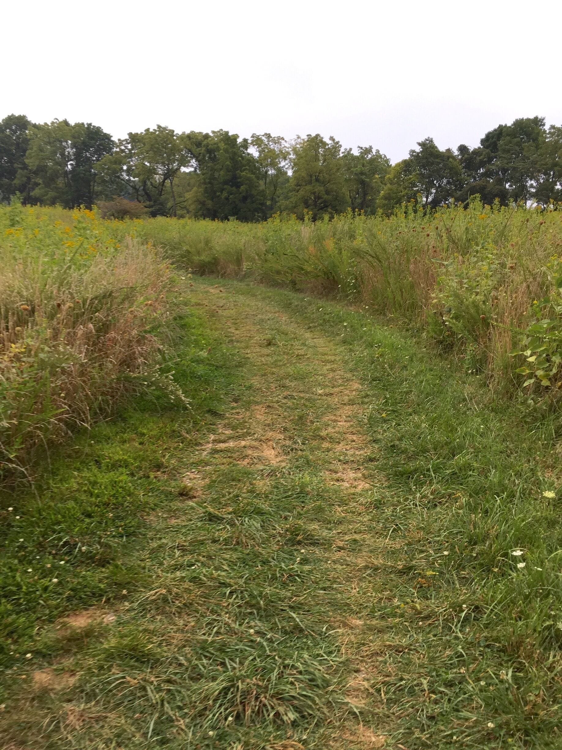 Hiking Sky Meadows State Park...