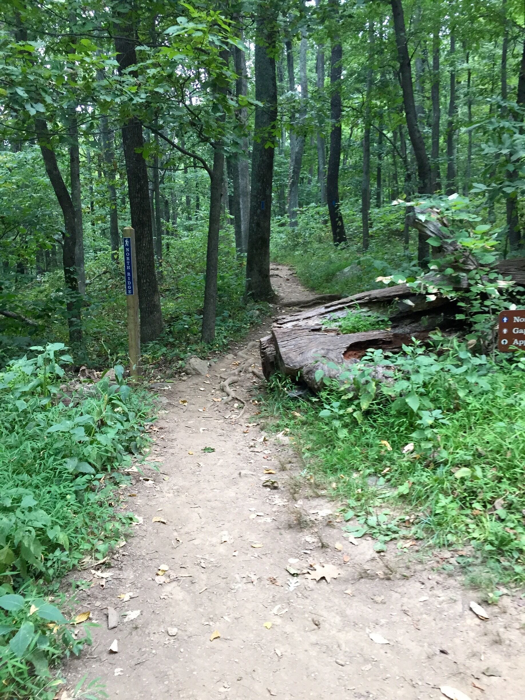 Hiking Sky Meadows State Park...