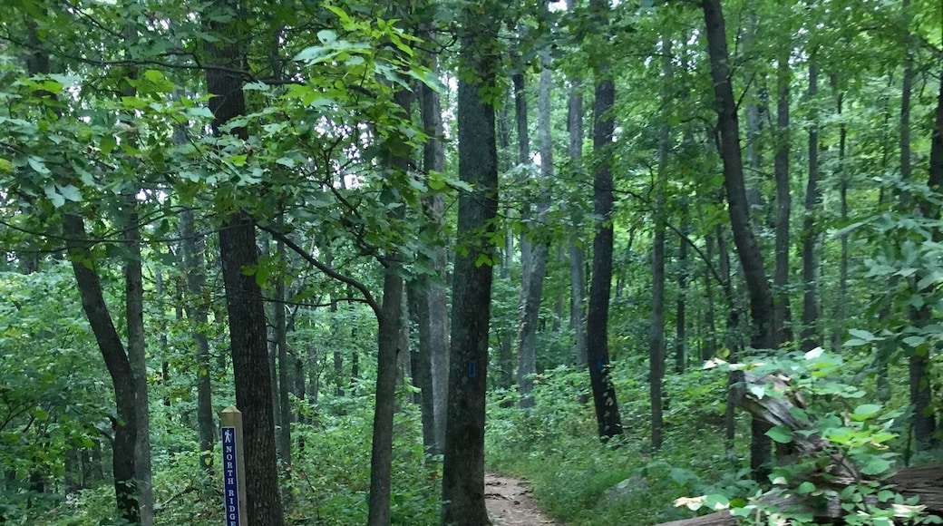 Hiking Sky Meadows State Park...