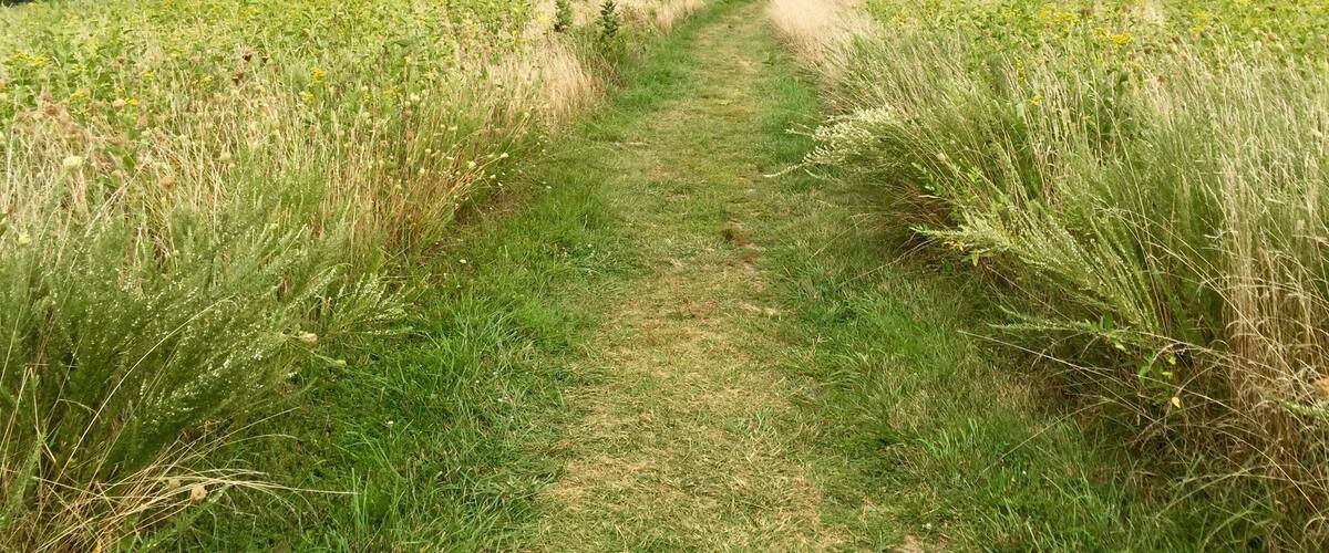Hiking Sky Meadows State Park...